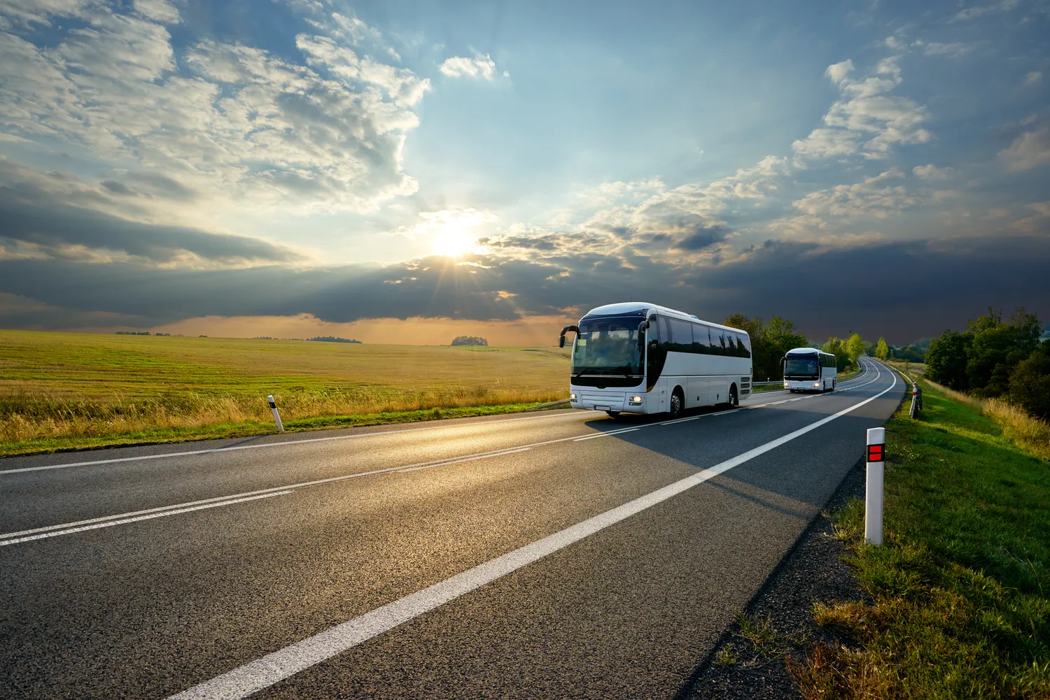 Wynajem autobusu na wesele Szczecin